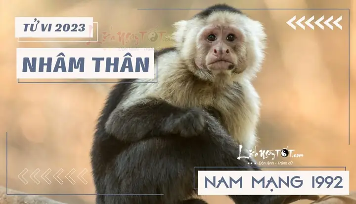 Tử Vi 2023 Tuổi Nhâm Thân Nam Mạng: Dự Báo Toàn Diện Và Lời Khuyên Thực Tế