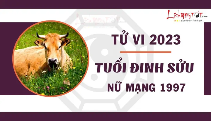 Tử Vi Đinh Sửu 2023: Vận Hạn, Tình Duyên, Sự Nghiệp Và Lời Khuyên