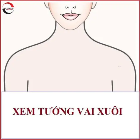 Tướng Phụ Nữ Vai To Là Gì? Ý Nghĩa Phong Thủy & Tính Cách