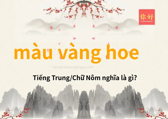 Vàng Hoe Là Gì? Ý Nghĩa Và Ứng Dụng Trong Đời Sống
