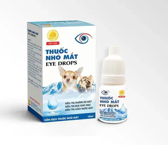 Viền Mắt Chó Bị Đỏ: Nguyên Nhân & Cách Xử Lý Tại Nhà An Toàn