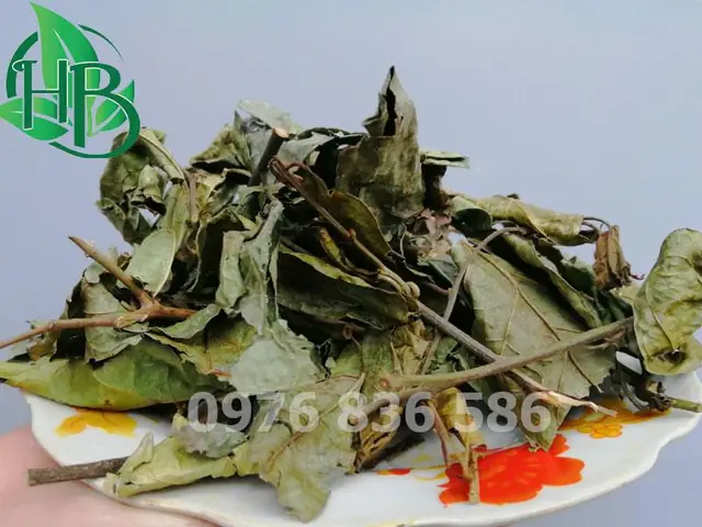 Xạ Đen Khô Giá Bao Nhiêu? Top 10 Lựa Chọn 2026