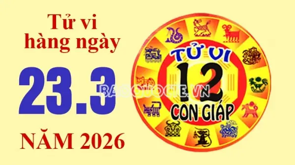 Xem Bói Ngày Hôm Nay Có Ý Nghĩa Gì?
