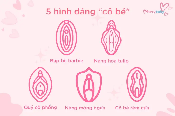 Xem Các Loại Cô Bé: Tổng Hợp Từ Văn Học Đến Xã Hội