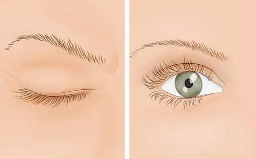 Xem Lành Dữ Qua Máy Mắt: Bí Mật Dự Báo Theo Ngày Giờ