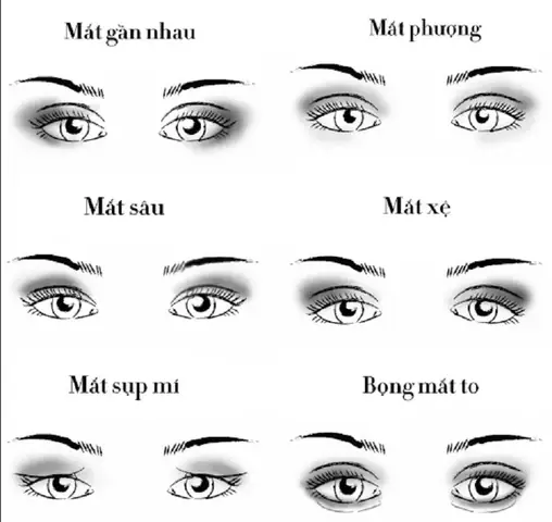 Xem Tướng Mắt Phụ Nữ: Bí Quyết Phân Tích Từ Hình Dáng Đến Ý Nghĩa