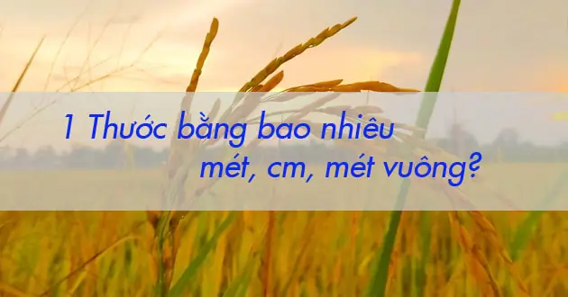 Thước Bằng Bao Nhiêu Mét? Cách Quy Đổi Chi Tiết Nhất