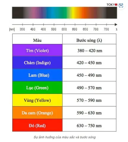 Áo Chống Nắng Nên Mặc Màu Gì