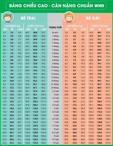 Bảng Đo Cân Nặng Chiều Cao