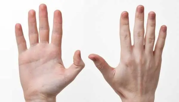 Thuyền Bát Nhã Nghĩa Là Gì? Giải Thích Chi Tiết Về Dấu Hiệu May Mắn Trên Tay