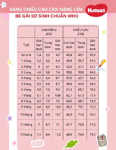 Bé 12 Tháng Nặng Bao Nhiêu Kg