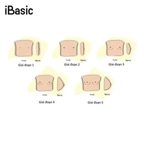 Bé Gái Mấy Tuổi Phát Triển Ngực