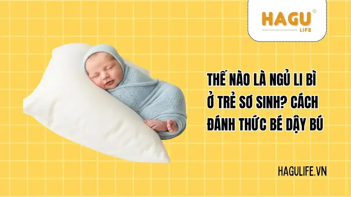 Bé Sơ Sinh Ngủ Li Bì