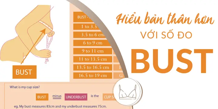 Bust Là Gì? Cách Đo Số Đo Vòng Ngực Chuẩn Nhất