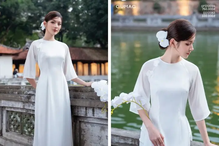 Các Loại Áo Dài Hiện Nay