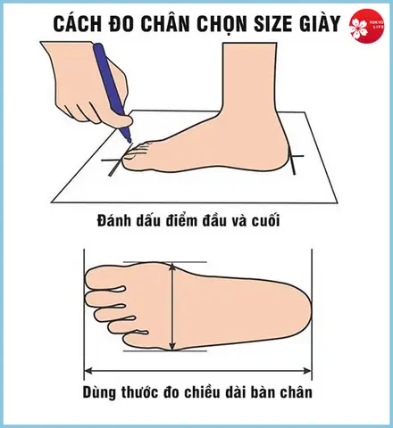 Cách Đo Size Chân Mua Giày