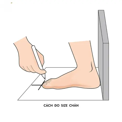 Cách Đo Size Giày Không Cần Thước