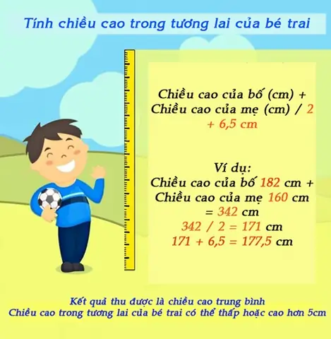 Cách Tính Chiều Cao Của Trẻ