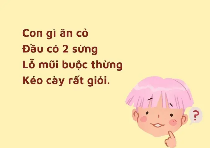 Câu Đố Cho Bé 6 Tuổi