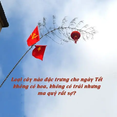 Câu Đố Về Tết Và Mùa Xuân