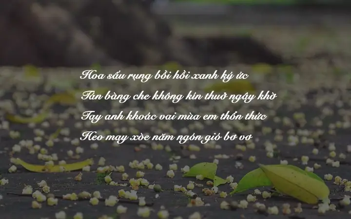 Câu Thơ Ngắn Về Hồ Gươm