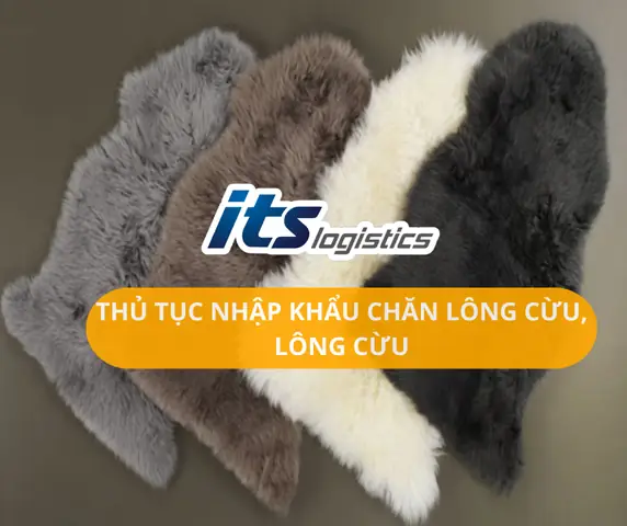 Nhập Khẩu Chăn Lông Cừu: So Sánh Chi Tiết Với Lông Cừu Và Hướng Dẫn Thủ Tục