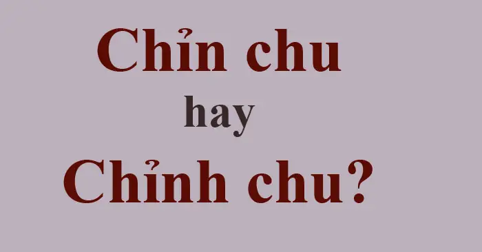 Chỉn Chu Nghĩa Là Gì