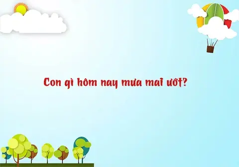 Con Gì Hôm Nay Mưa Mai Ướt