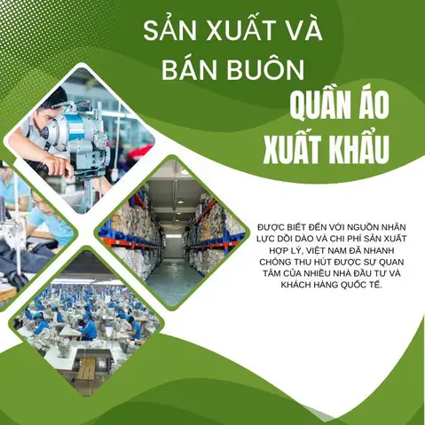 Công Ty May Mặc Bình Dương: Hướng Dẫn Toàn Diện Từ Lựa Chọn Đến Hợp Tác Thành Công