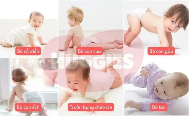 Em Bé Mấy Tháng Biết Bò