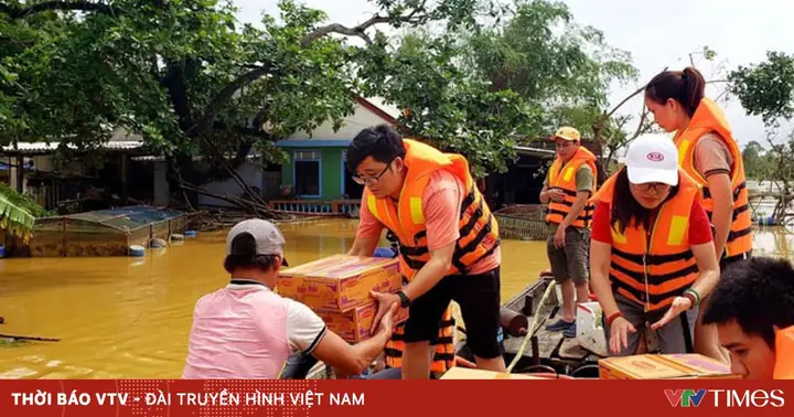 Áo Phao Cứu Sinh: Đánh Giá Chi Tiết Giá Cả, Chất Lượng Và Nơi Mua Uy Tín