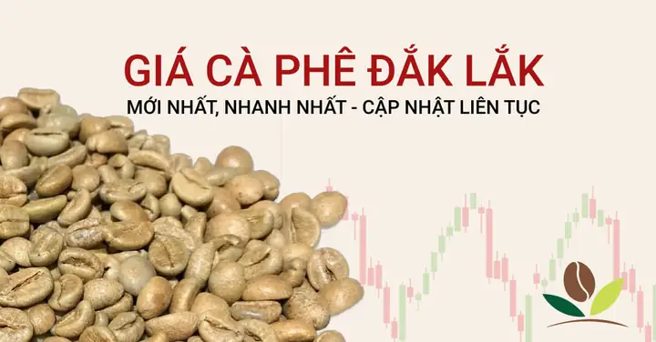 Giá Tiêu Đắk Lắk Bao Nhiêu