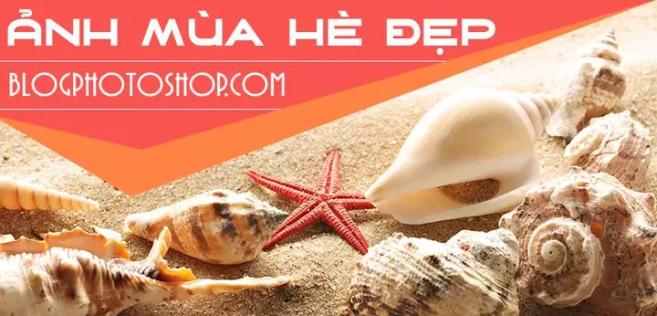 Hình Ảnh Mùa Hè Đẹp: Tổng Hợp Và Ứng Dụng Trong Đời Sống