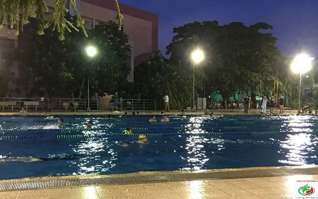 Hồ Bơi Quận Tân Bình: Cẩm Nang Lựa Chọn Địa Điểm Tập Luyện & Giải Trí Tối Ưu