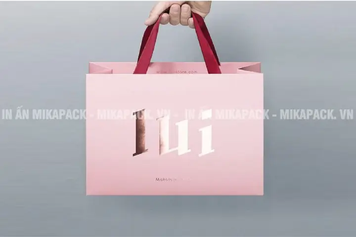 Top 7 Mẫu In Túi Shop Đẹp Và Bền Cho Quần Áo Thời Trang