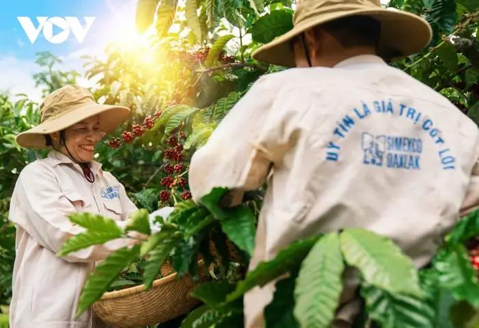 Lô Gan Đại Đắk Nông