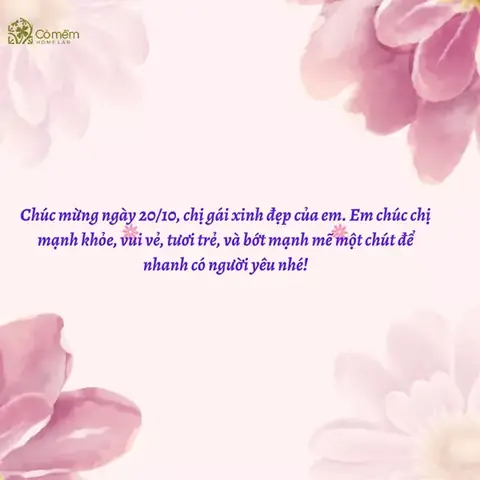 Lời Chúc 20 10 Cho Chị Gái
