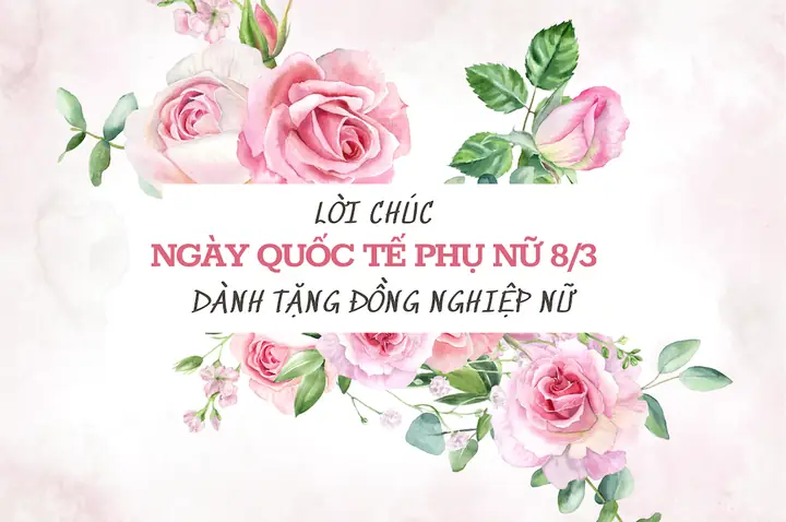 Lời Chúc 8/3 Đồng Nghiệp Nữ