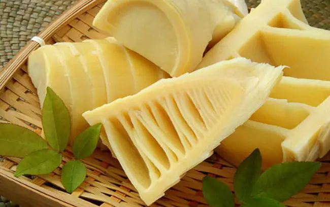Măng Tiếng Anh Là Gì? Tổng Hợp Từ Định Nghĩa Đến Công Dụng