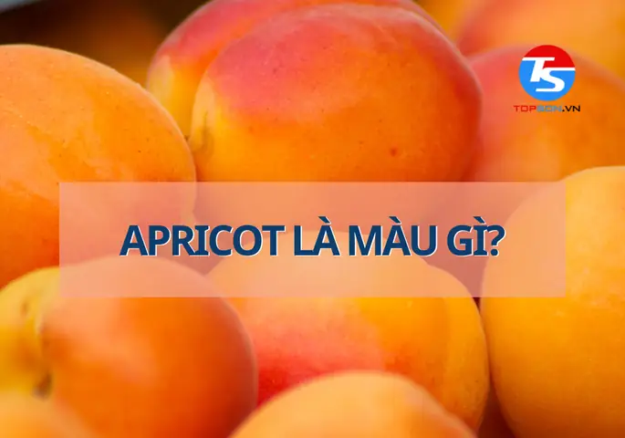 Màu Mơ Là Gì? Tổng Tất Cả Về Mã Màu, Ứng Dụng & Cách Phối