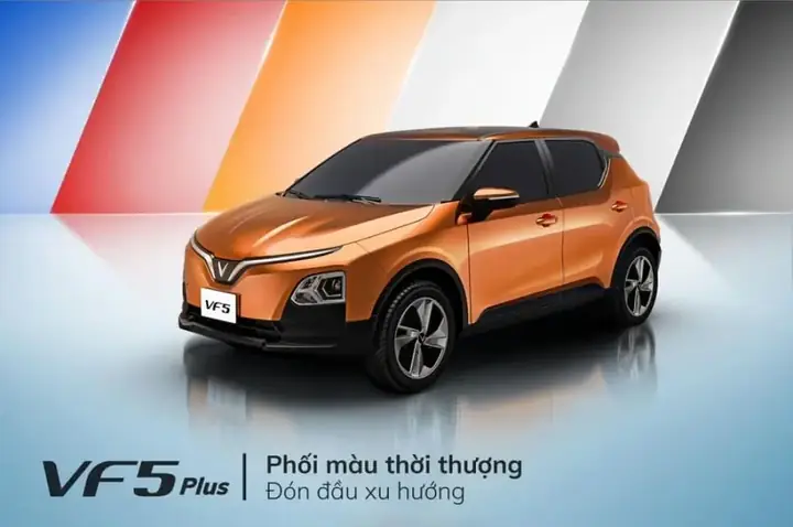Màu Nâu Đất Hợp Mệnh Gì