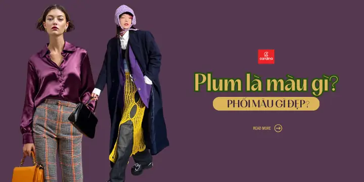 Màu Plum Là Gì? Tổng Hợp Từ Định Nghĩa Đến Bí Kíp Phối Màu Chuẩn Chuyên Gia