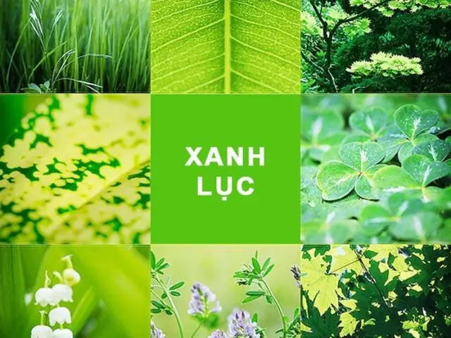 Màu Xanh Lục Là Màu Gì