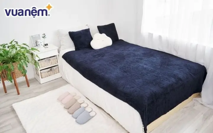 Mua Chăn Lông Cừu Xịn Ở Đâu