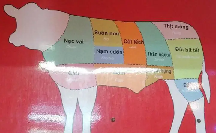 Nạm Bò Là Bộ Phận Nào