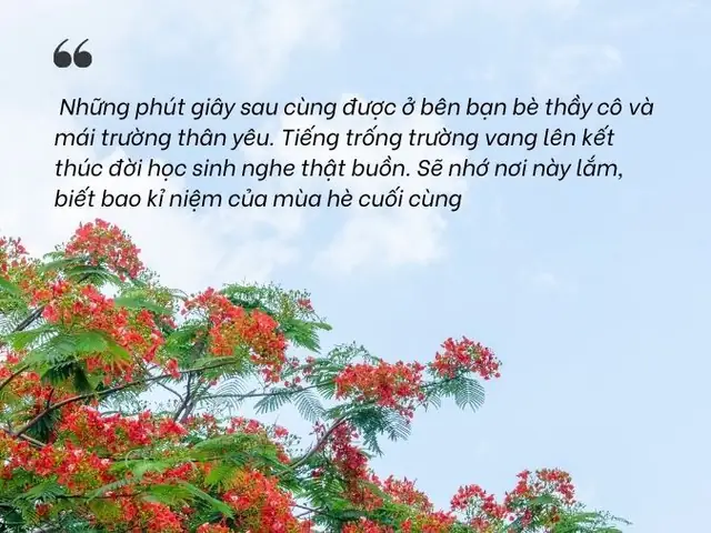 Những Bài Viết Về Mùa Hè
