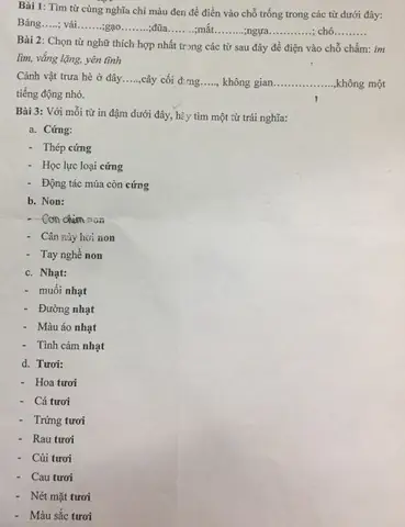 Những Từ Cùng Nghĩa Chỉ Màu Đen