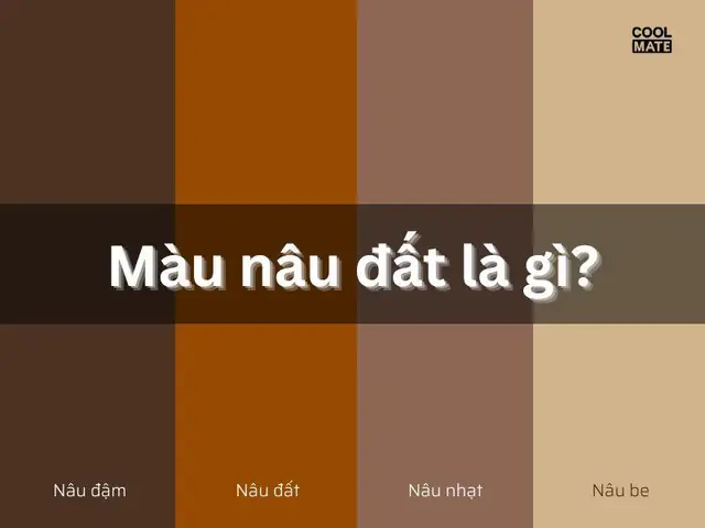 Màu Nâu Đất: Bí Quyết Phối Đồ Và Ứng Dụng Trong Đời Sống