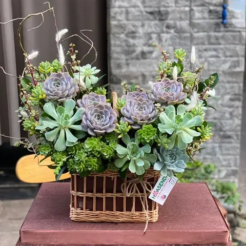 Quà Sinh Nhật Cho Người Lớn Tuổi