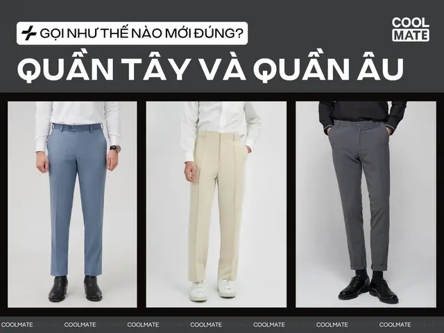Quần Âu Và Quần Tây Nam: Phân Biệt, Cách Chọn & Các Dáng Phổ Biến